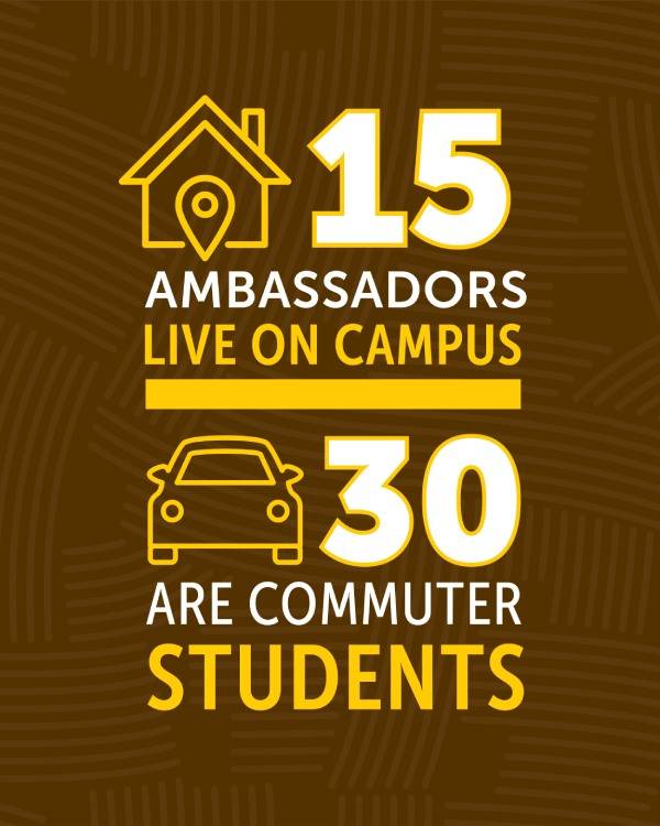 USF Ambassador Facts-5